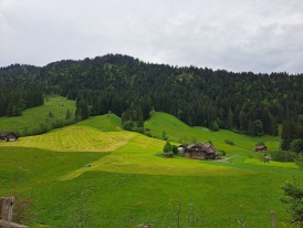 Arche-Hof Fest Schangnau